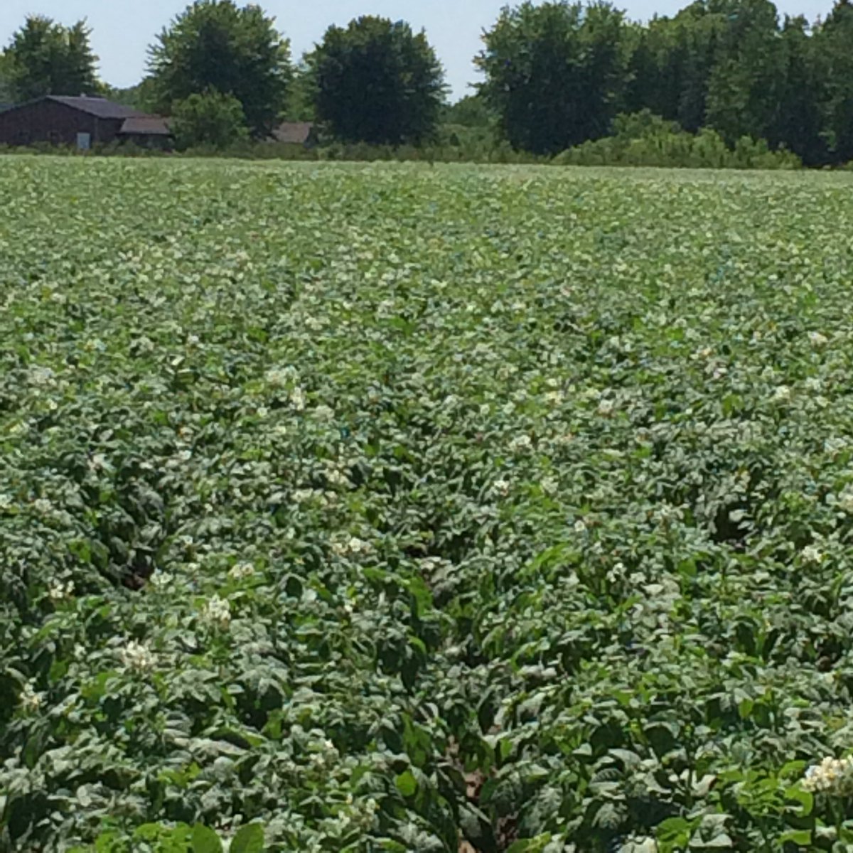 FSPstef's tweet photo. @BlizmanProduce  Beauty https://t.co/V85tm5DEJQ