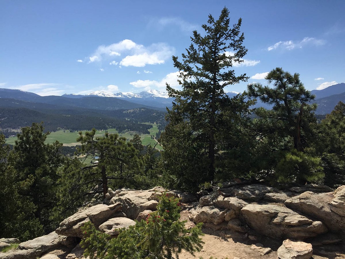 ColoTravelGal's tweet photo. #FridayFun: Try this awesome loop #hike up #evergreen Mountain! #hikerchat @JeffcoOpenSpace https://t.co/Pf2Uyj8fOH https://t.co/4gOLwIg1yV