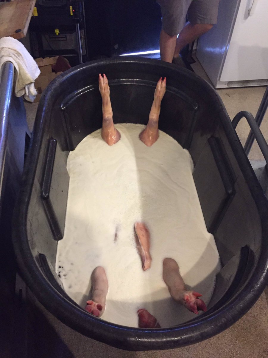 BroadheadRoss's tweet photo. Part deux @Meatings @CornerBarNGrill @MillStreetBrew What about the legs Mat? https://t.co/NxmC85mHol