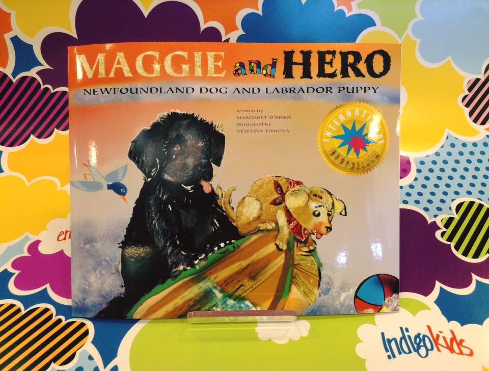 Chapters St. John's tweet media