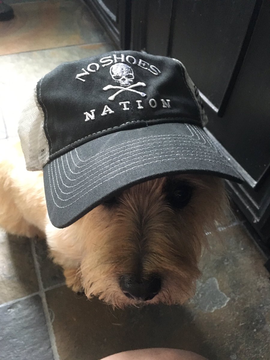 Abby Freeman tweet media