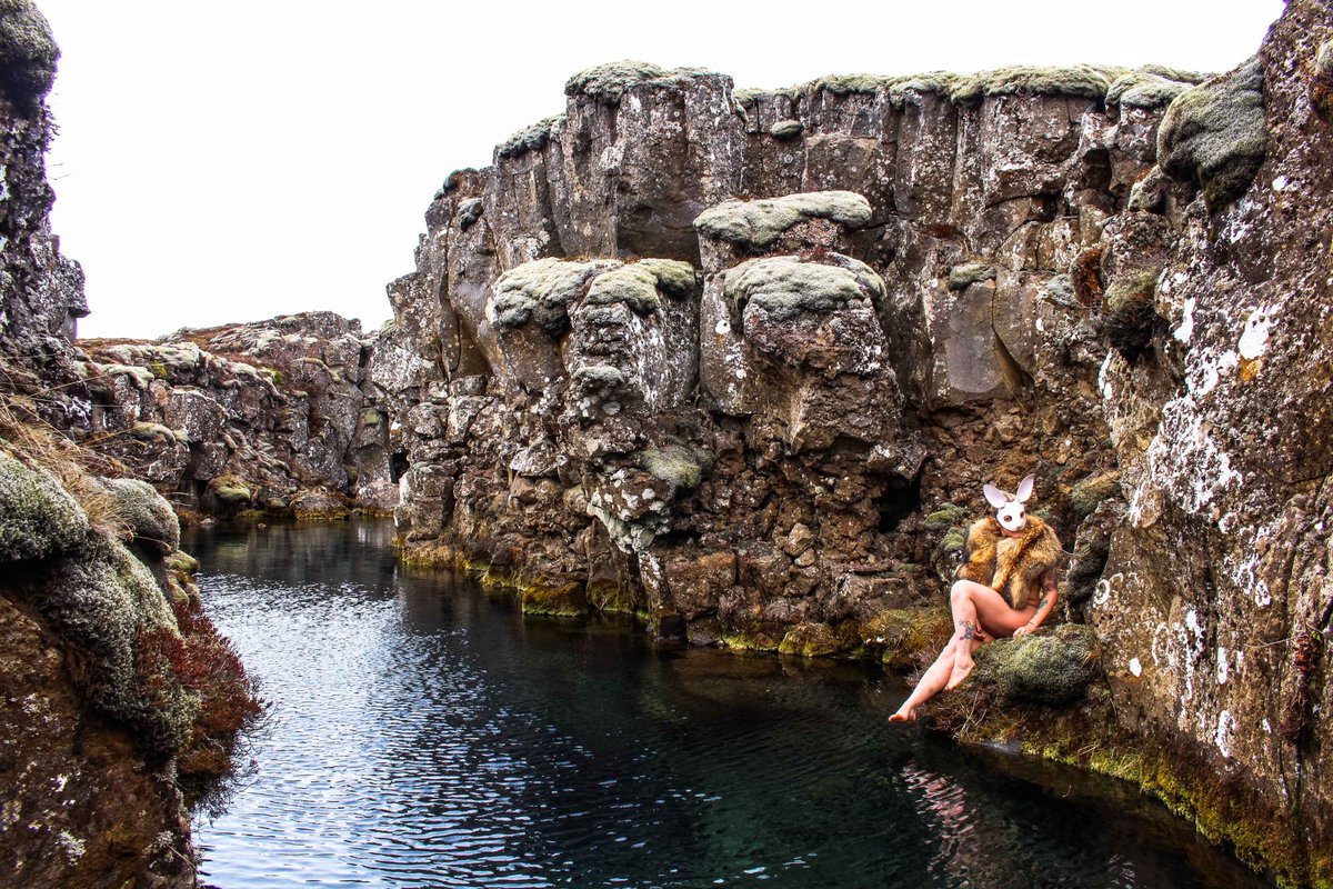 joe_shutter's tweet photo. Modular Juice. On the blog. #Iceland #blogger #photographer #bunny https://t.co/HuYPirORrc