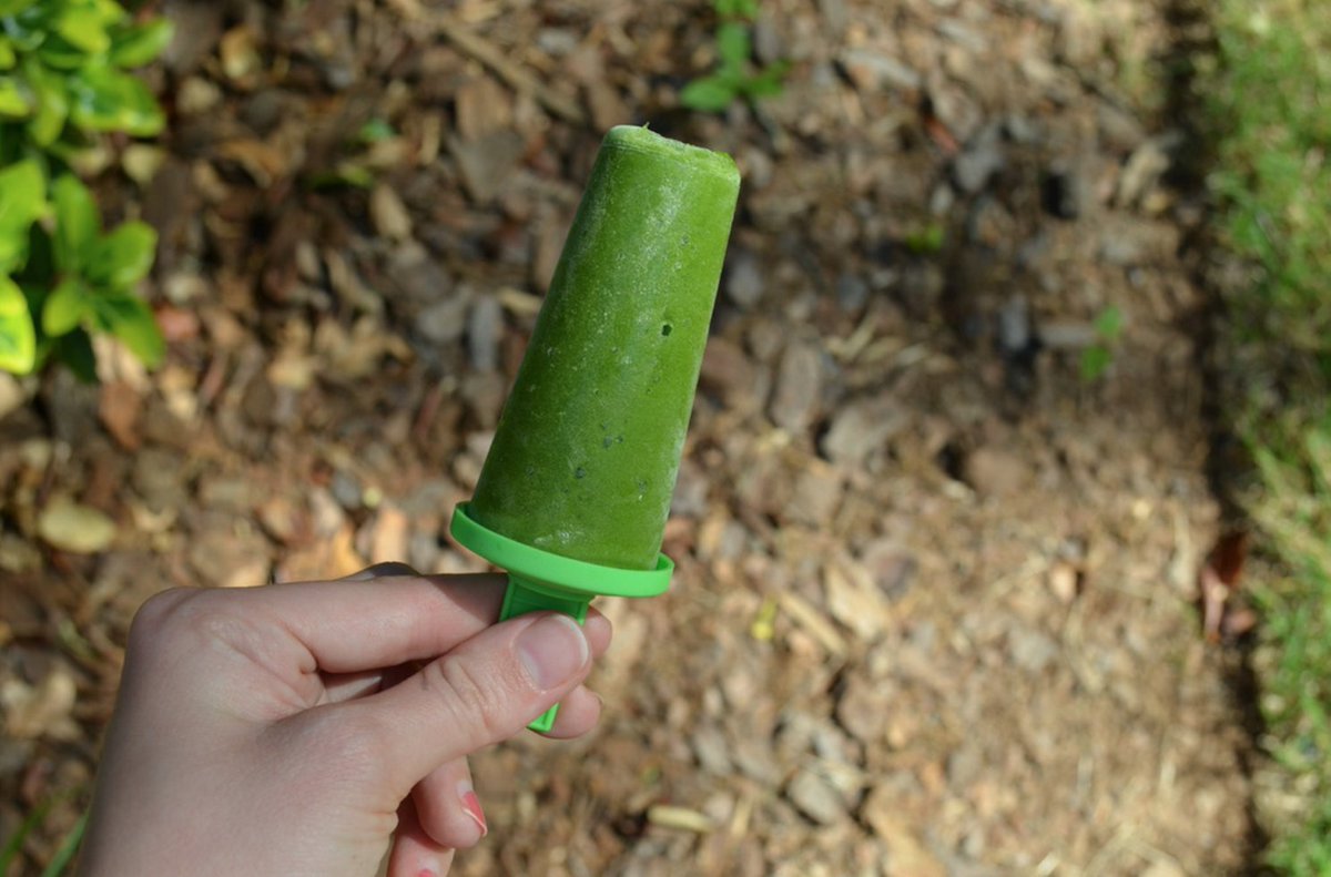 15 Epic Homemade Popsicles You Should Make This Summer. --> ow.ly/Nt7s301ebVT <a href="/maddsmordoh/">Madison Mordoh</a> <a href="/spoon_elon/">Spoon Elon</a>