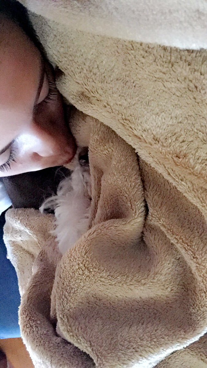 nspadulaa's tweet photo. Already missing my little babe. The house is quieter without her. https://t.co/TcsGPS8u3G