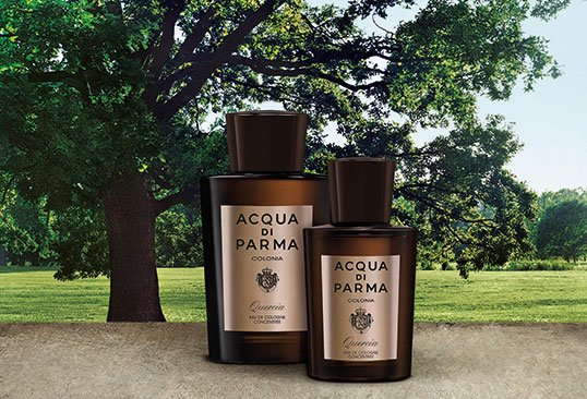 acqua di parma quercia fragrantica