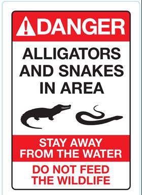 Gio Benitez tweet media