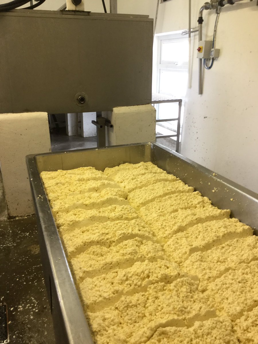 CoolattinC's tweet photo. Cheese making has begun . Happy cows. Coolattin and Mount Leinster 2016 in production https://t.co/1F3Me2INit