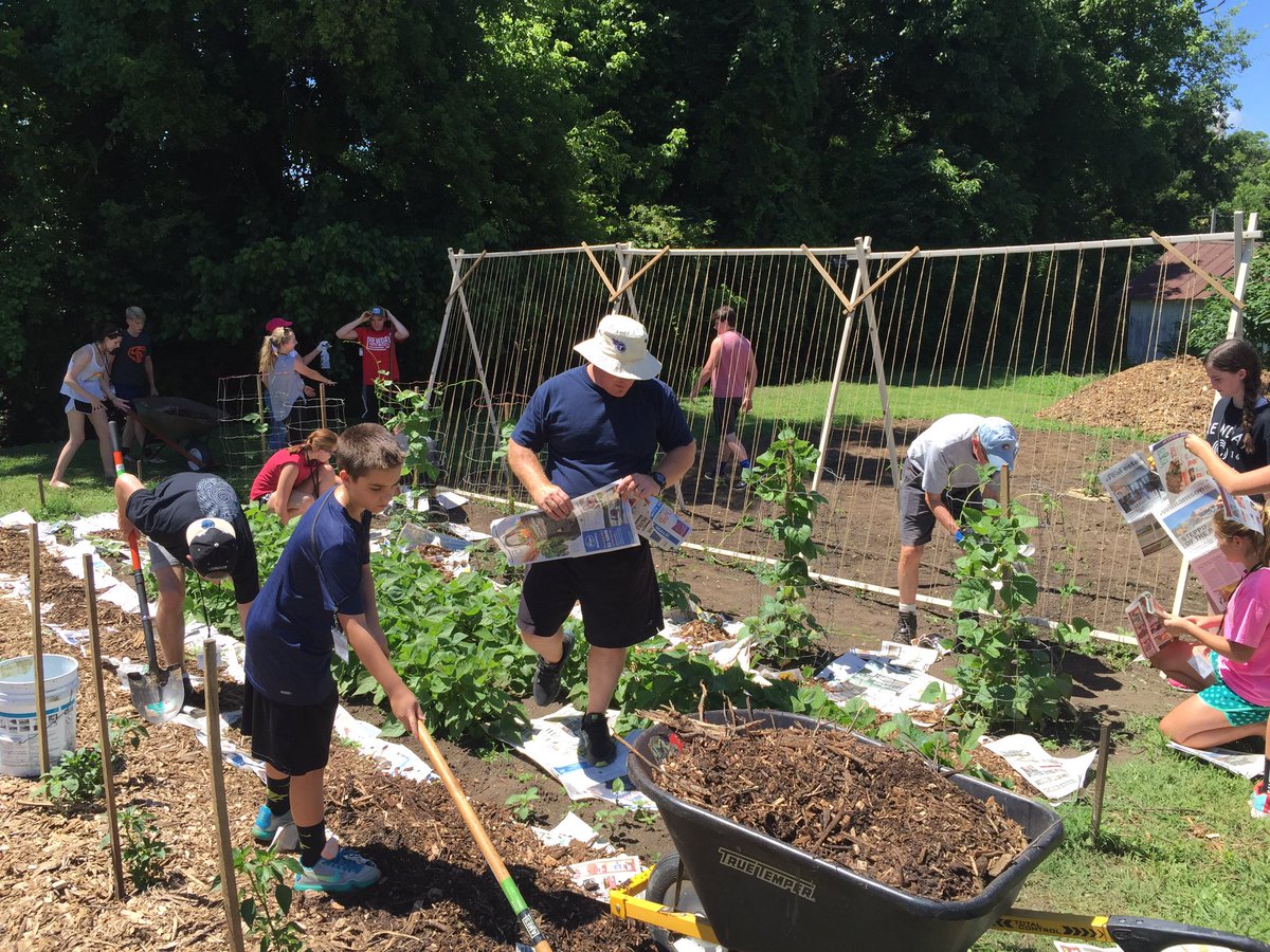 Jordan Roe tweet media