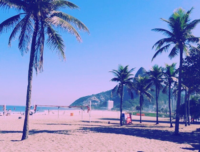 milly__mills's tweet photo. Palm trees and blue seas 🌴👏🏼 https://t.co/2o6Mg78kRX