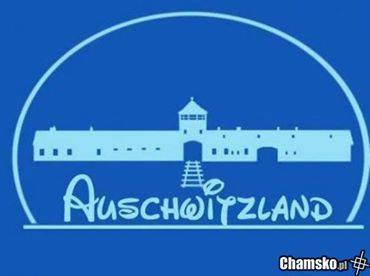 PlHitler tweet picture