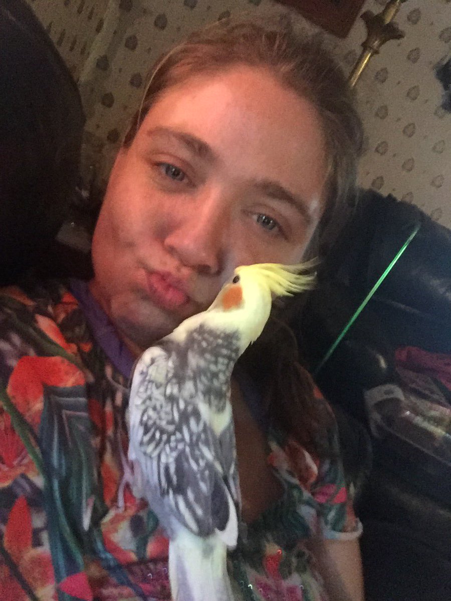 Arrial m young (@arrialyoung) on Twitter photo 