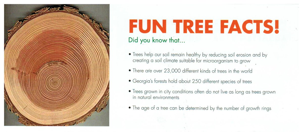 heilig Ausschuss Siehe Insekten facts about tree rings Parität