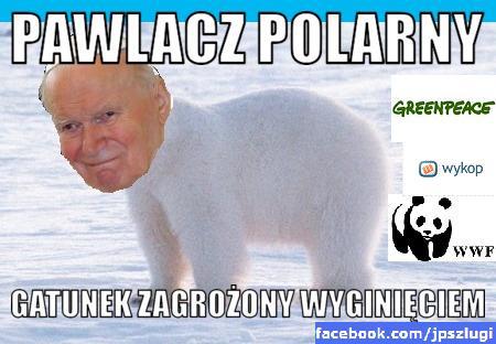 PlHitler tweet picture