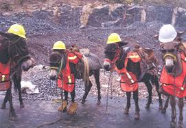 clearview_uk's tweet image. Our last staff training day. We've had 0 workplace  accidents in the past 365 days as we've had no work on....