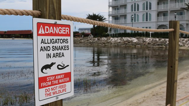 New sign on beach of #GrandFloridian hotel at #WaltDisneyWorld bit.ly/21r5FwS?utm_me… https://t.co/dHz1BI28BG