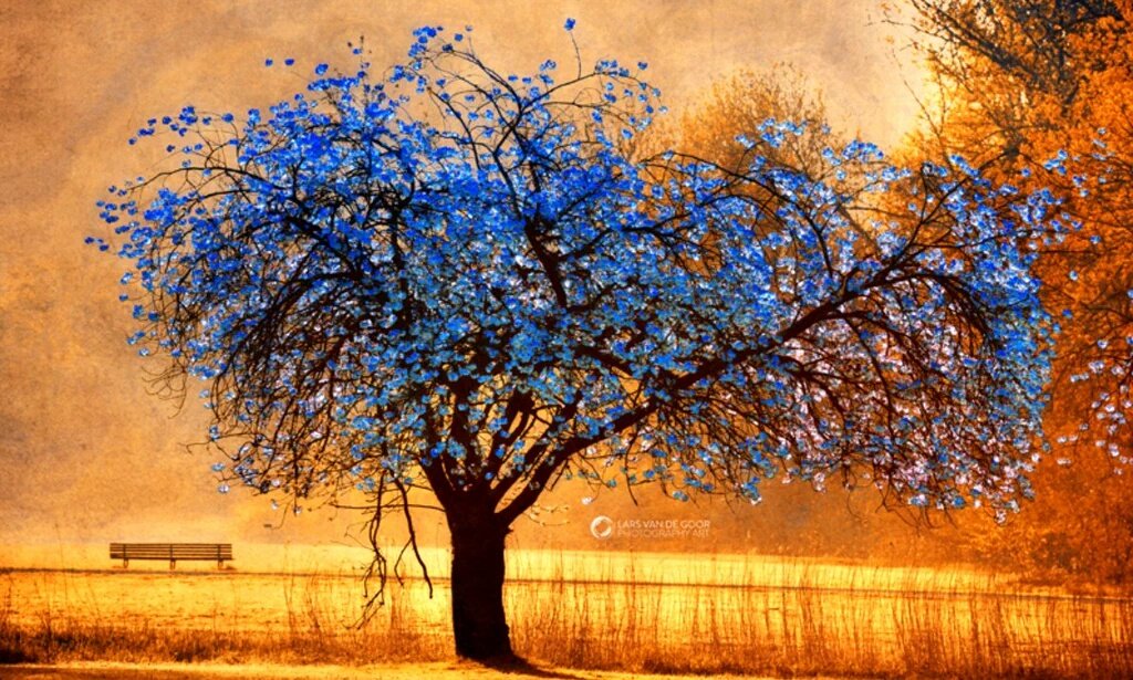 skyflower1133's tweet image. @MSimoneF @THEWAY_Feature @Anatolijus8 @Ytumas50 @biancavos1970 @dar_aunt