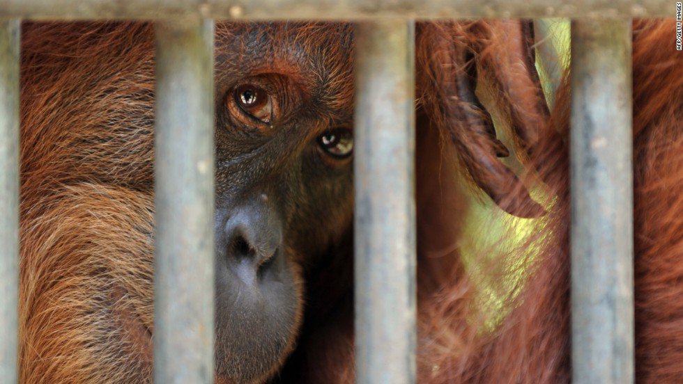 EarthisHeavenly's tweet image. We exist to maintain atmospheres together.  The Lamb comes with the consequences for captivating and consuming us.