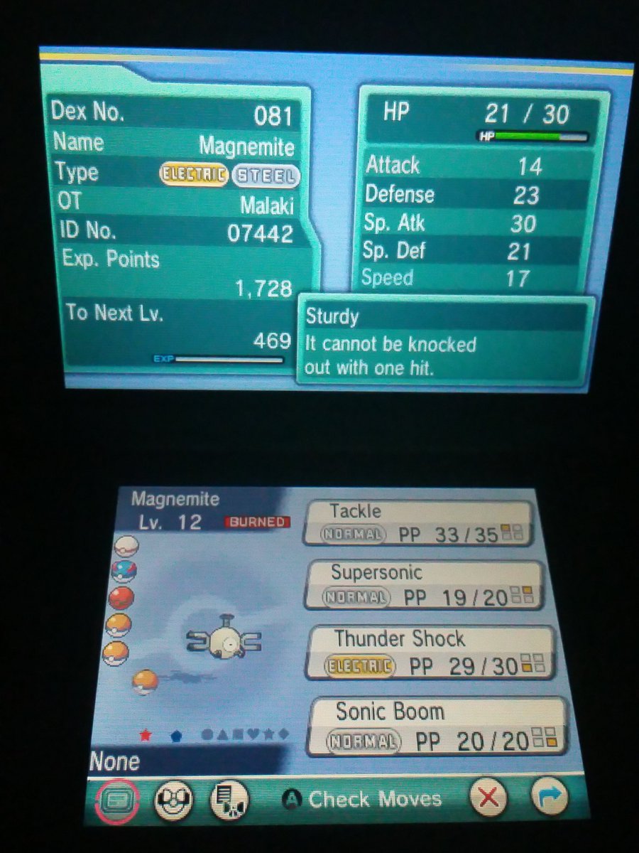 Malakibot's tweet photo. Its been awhile since I have gotten anything! #shinypokemon #pokemon @GalacticElliot @JustPlayPokemon https://t.co/DTAvVciBRt