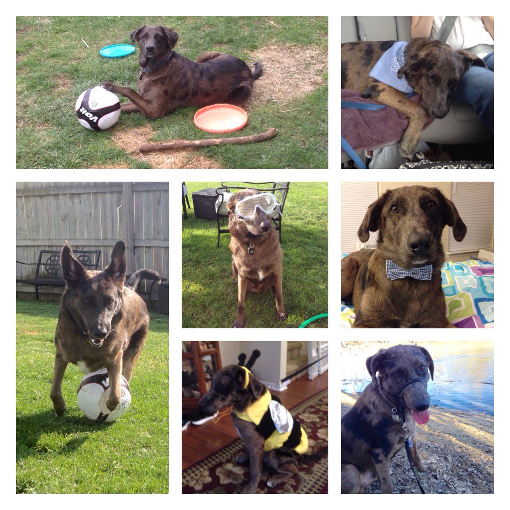 Ashley Hodges (@hodgesashleyn) on Twitter photo 