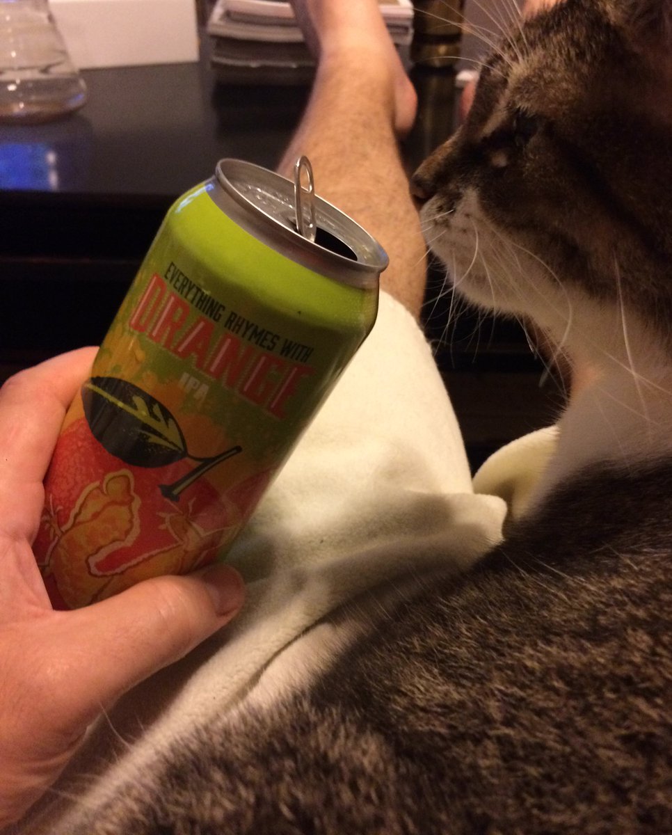 405_brewer's tweet photo. #nemocat approved @Roughtailbeer https://t.co/fxeAzVXIs1