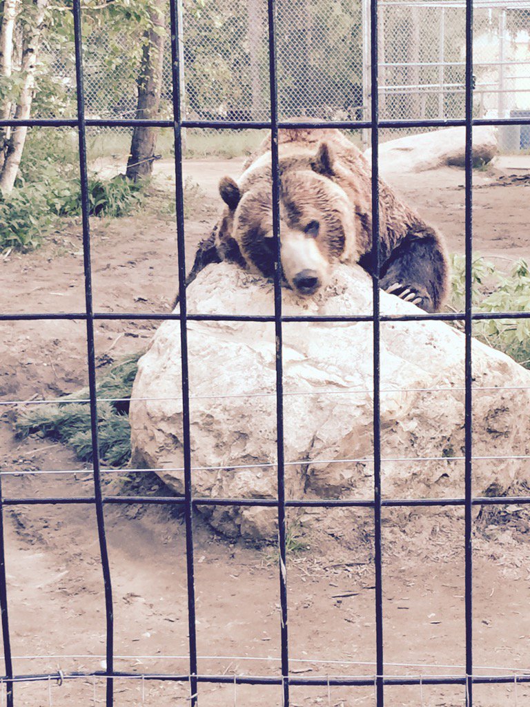TrishChevy's tweet photo. The welcoming party at this year's Zoo Gala #zoogala #yxe https://t.co/VdDGxK9O97