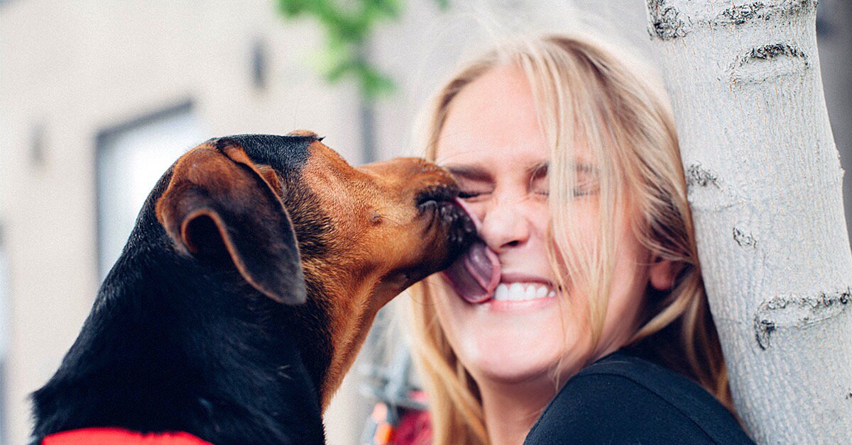 KeltyUSA's tweet photo. Fact: A dog's mouth is cleaner than yours... I hope #PuppyKisses #PeanutButter #KeltyPets #CampingWithDogs #Ewwww https://t.co/2AIRTa5xiU