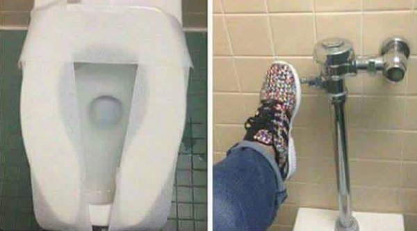 Sassy Whale tweet media