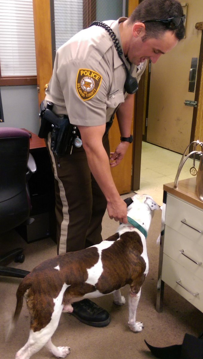 stlcountypd's tweet photo. Before we could leave the station, Ofc. Nieman found this guy wandering in the middle of New Halls Ferry. #stlcopd https://t.co/ABdQ4UWmrC