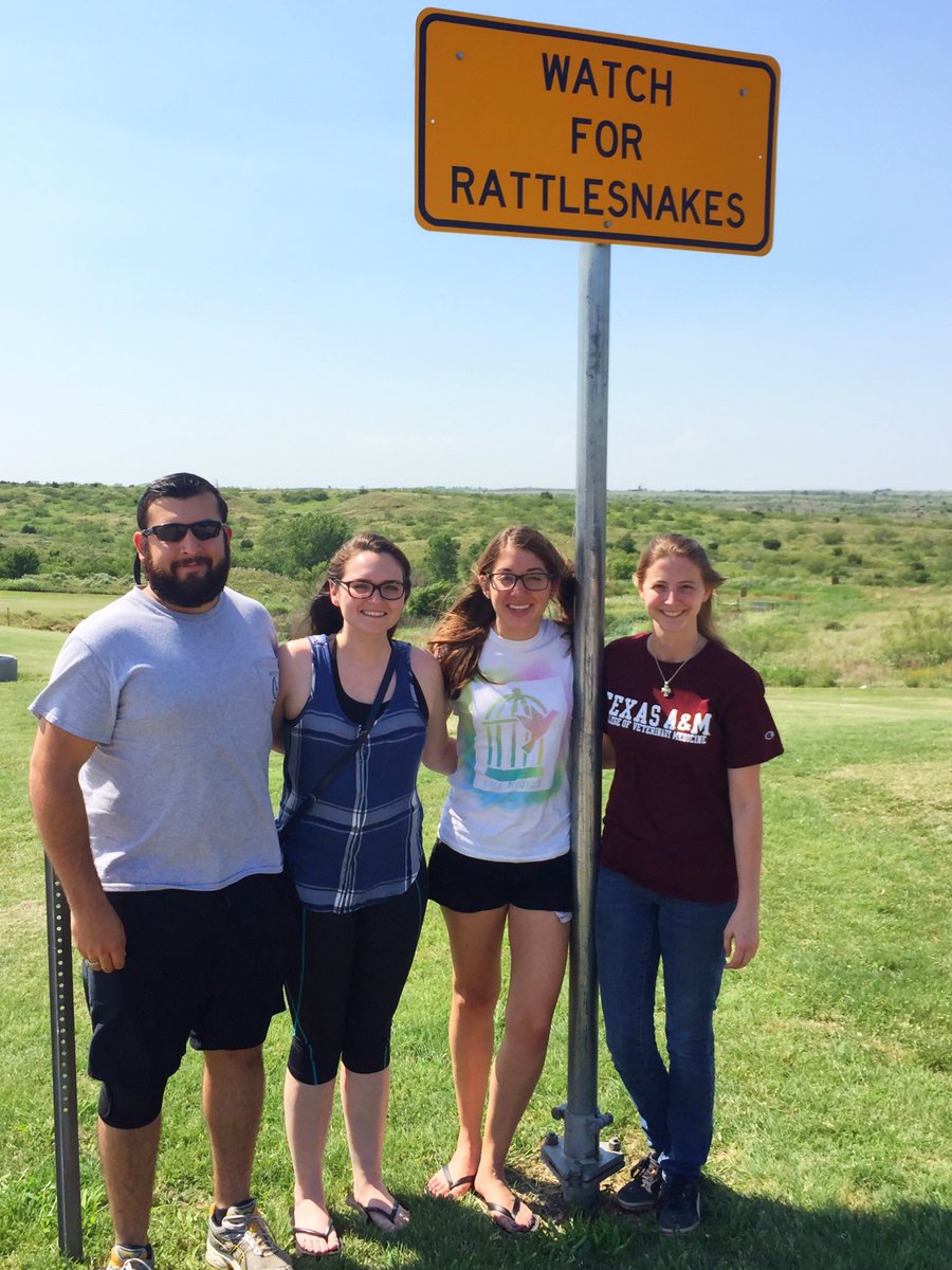 benag89's tweet photo. Here is the obligatory vet students by the "Watch For Rattlesnakes" sign. #navajolandmission https://t.co/Wo9gShEJxA