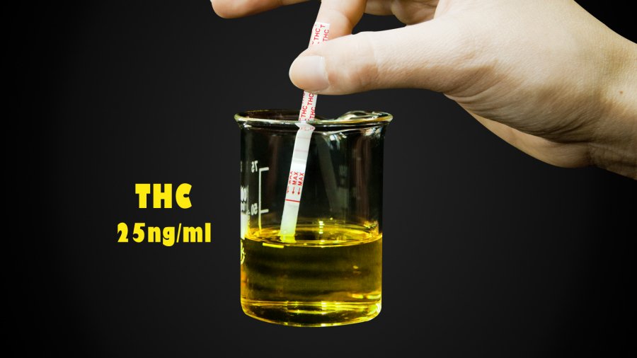 GrowLandiaOFI's tweet photo. Lo que tarda tu cuerpo en eliminar el #THC de la #marihuana - https://t.co/9ZDI1WANG4 https://t.co/VVISRzvQwz