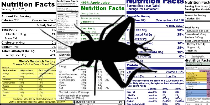 Bugible's tweet photo. New Article: Collaboration is Key For Future of Edible Insect Regulations :) #entomophagy https://t.co/3nCHcb8f4O https://t.co/913tOFxBbb