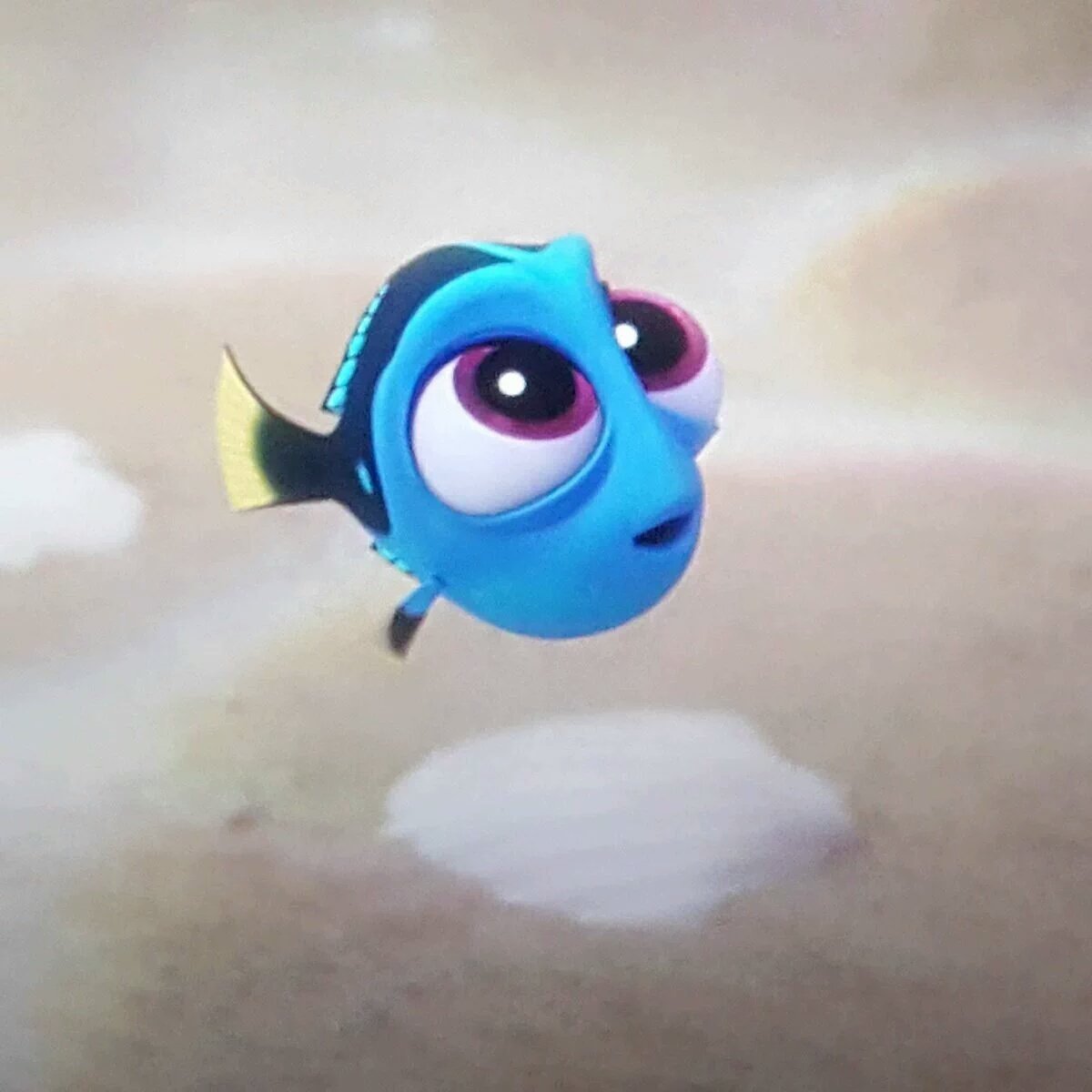 Matt Stout Mcknight En Twitter Baby Dory Is So Cute Findingdory T Co Uodbe69e4a Twitter