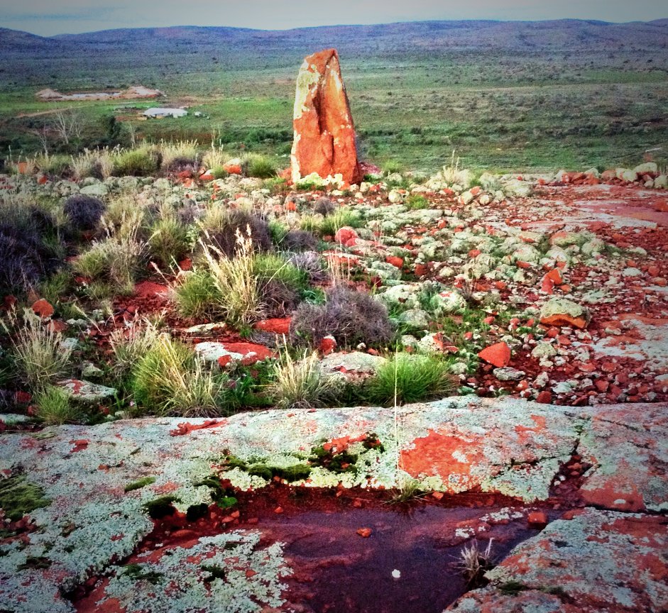 sherrbrae's tweet photo. Great week around the #EyrePeninsula beautiful place got rained in at #Nonning #bushland
Looking pretty special https://t.co/4yxLJnH4Fo