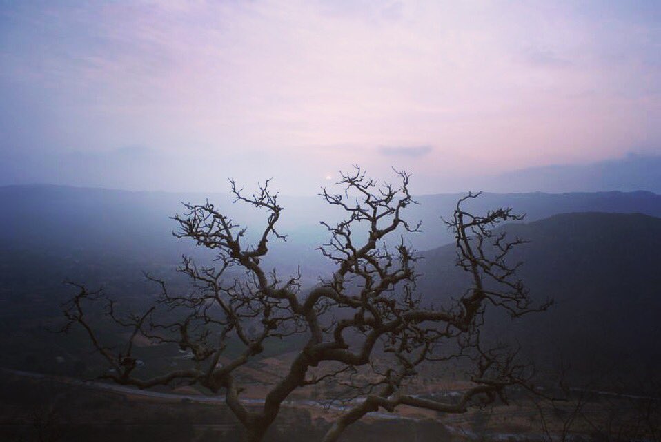 HalpernHeather's tweet photo. The view of Pushkar, Rajasthan. #India #travel #wanderlust #tree #hike https://t.co/PZxIytsmeO ✈️ https://t.co/SADga7UIAn