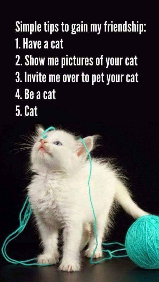 CatZzillaa's tweet photo. https://t.co/6ezCzqaL81