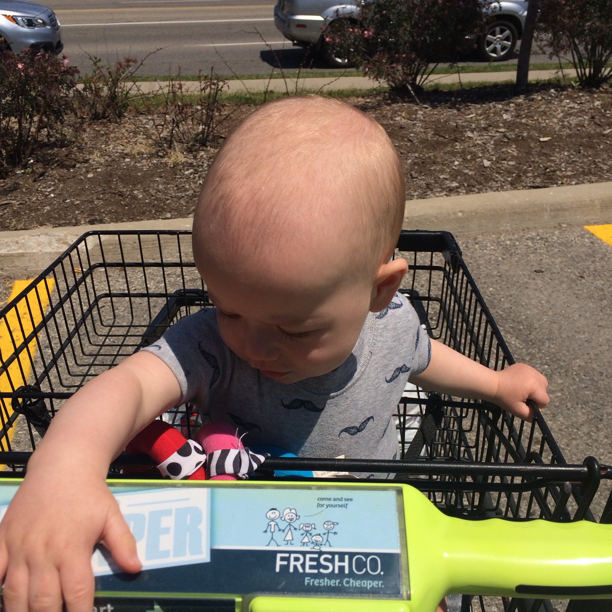 In other news Maxim had his first ride in a shopping cart today. How is he almost 9 months? #littlelove #mainsqueeze