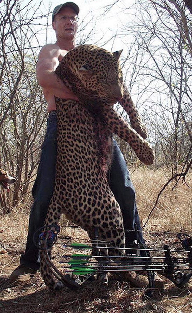 WendyJunonia477's tweet photo. Sign the petition to revoke non profit status of #SafariClubIntl #Shame #NeverForgetCecil https://t.co/Qy85Faqcen https://t.co/CQMhYbGjNd