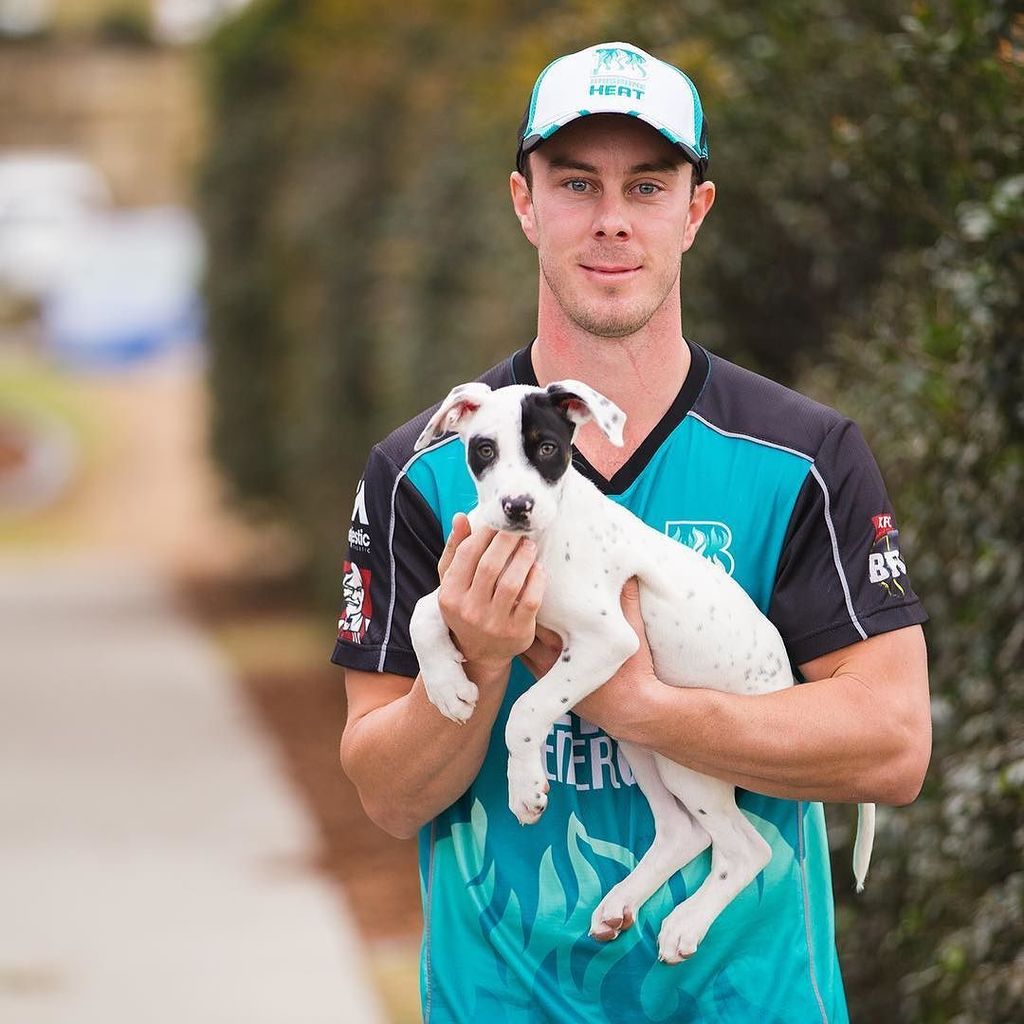 RSPCAQld's tweet photo. RSPCA Ambassador Chris Lynn is on board with #OperationWanted. Is your pet #desexed? Thousands of unwanted pets end… https://t.co/tptI05C6qc
