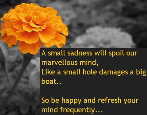 Barcode2d's tweet image. A small sadness will spoil our #marvelous mind , Like a #small hole damages a big boat...
#behappy