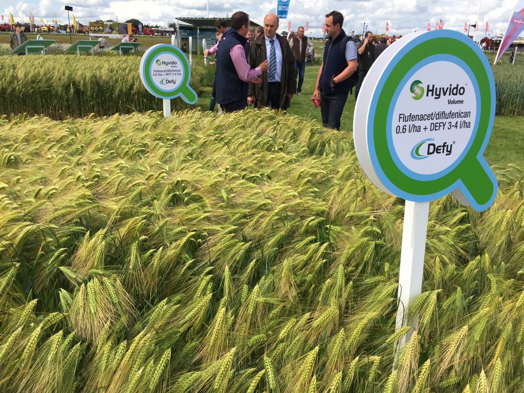 richardnyo's tweet photo. Do not understand why any UK farmer would want to leave the EU. Farming is much easier within I have done both. https://t.co/dDlmYih2a7