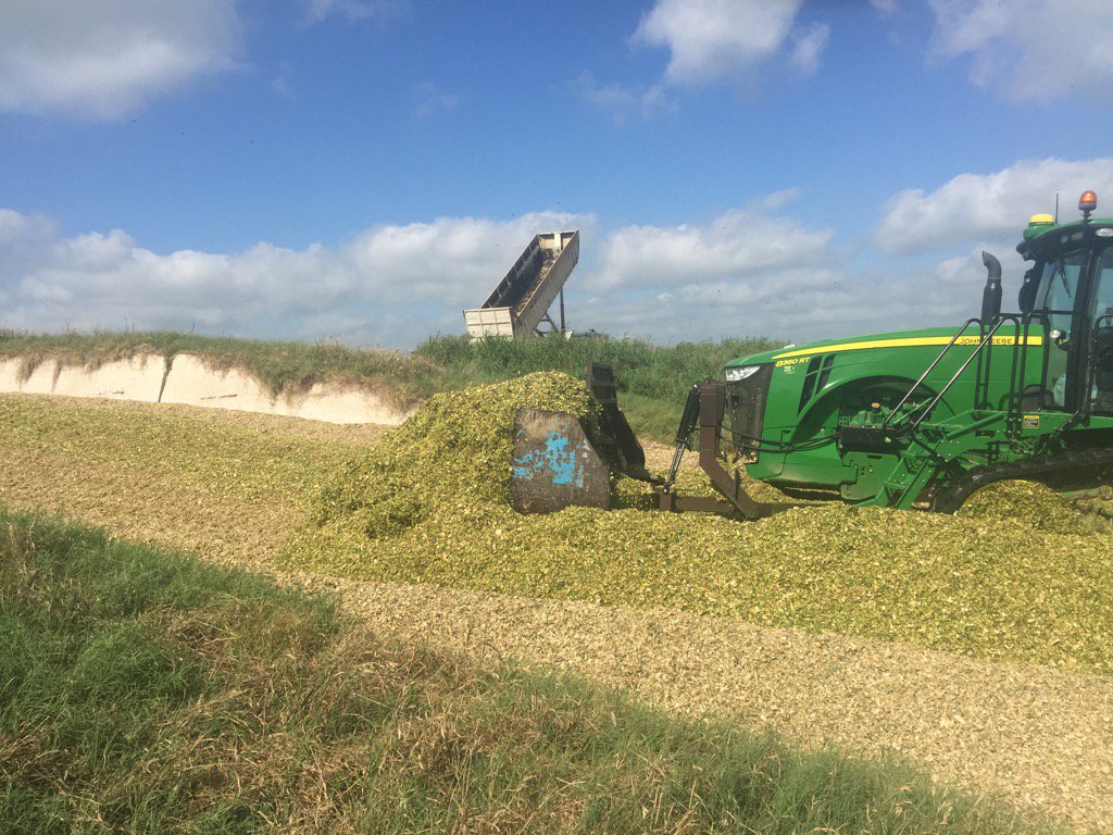 RBoening's tweet photo. Filling our silage pits. Pushing feed in foreground. Dumping in 2nd pit in background. Finish tomorrow #2016crop https://t.co/pOxmbrdSjx