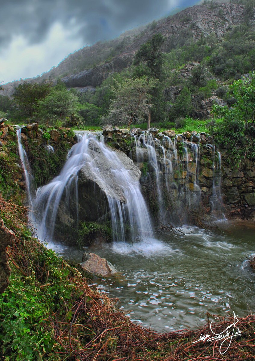عبدالله خضر tweet media