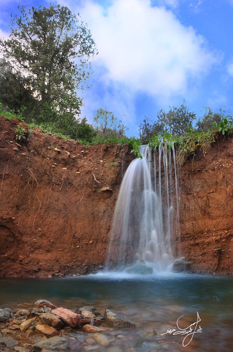 عبدالله خضر tweet media