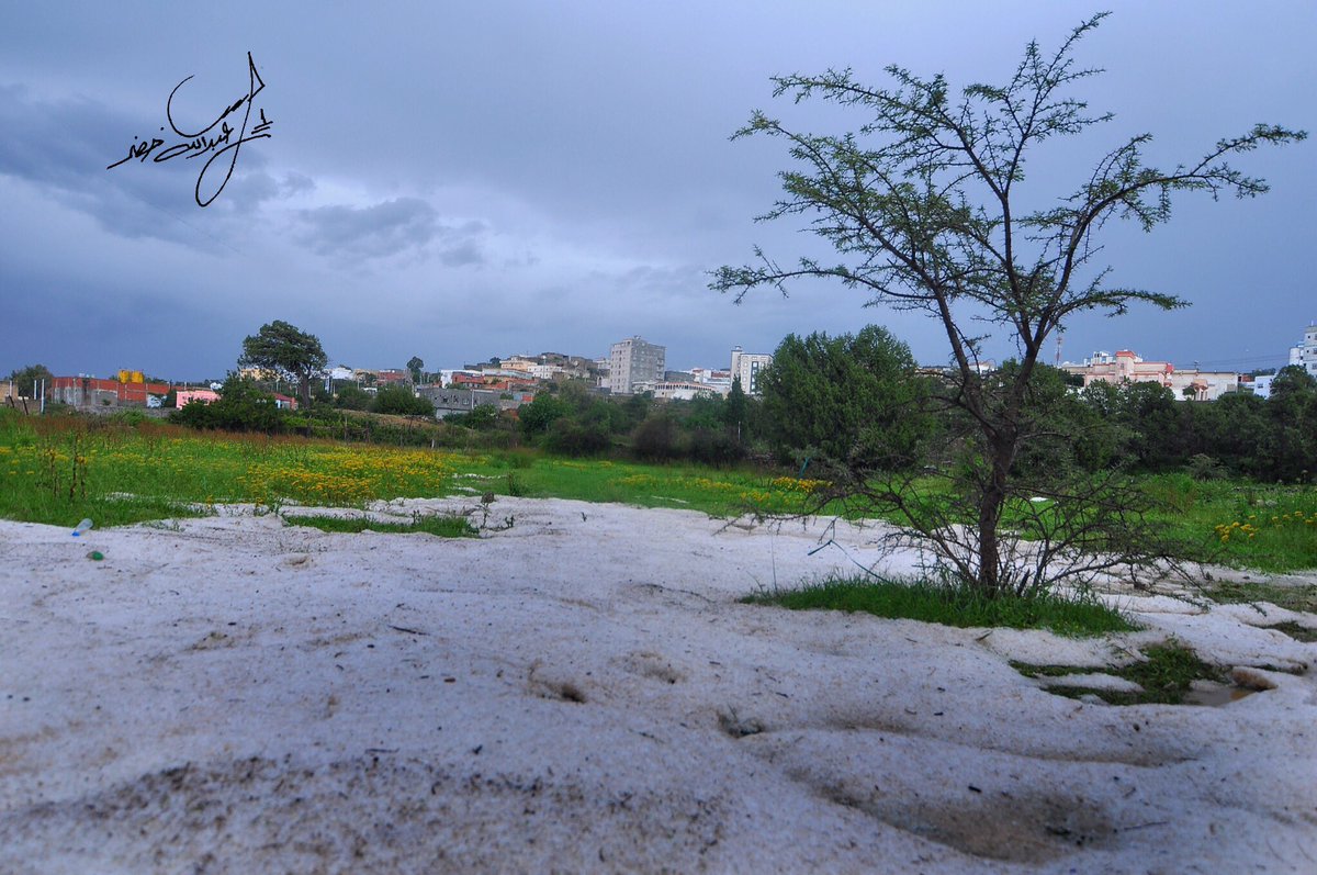 عبدالله خضر tweet media