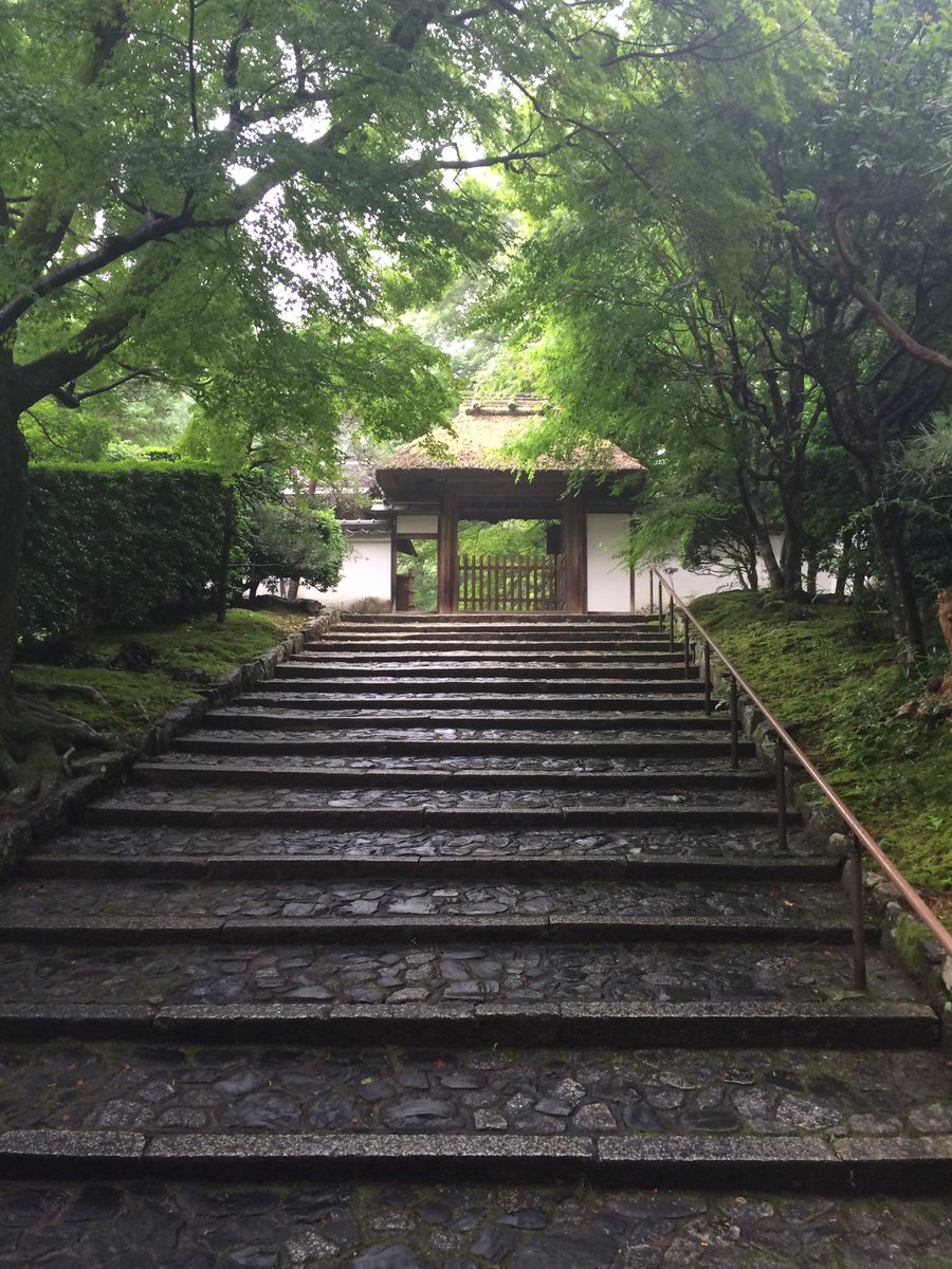 anrakujikyoto's tweet photo. 昨日の雨上がり https://t.co/CfeQ0pQ6A8