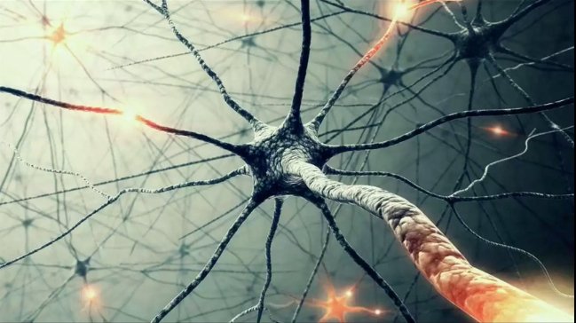 republicofmath's tweet photo. AI, Deep Learning, and Machine Learning: A Primer https://t.co/Bq4Kk1weZK https://t.co/ggimunWuR6