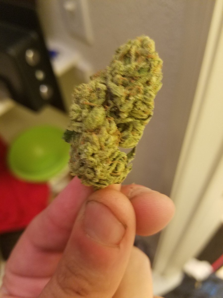 Dread_LPM's tweet photo. #MedicalCannabis #Marijuana #fridaynight anyone no another name for it? #SuperGoo really good https://t.co/S0fiSmASi8