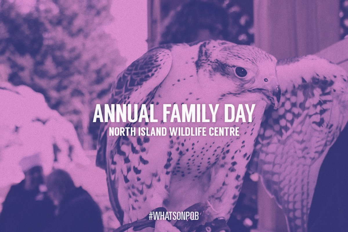 whatsonpqb's tweet photo. Family Day at the North Island Wildlife Recovery Centre 11:00am. A day full of activities! https://t.co/gPTNLeuu0B https://t.co/UQ6BYZ75uT