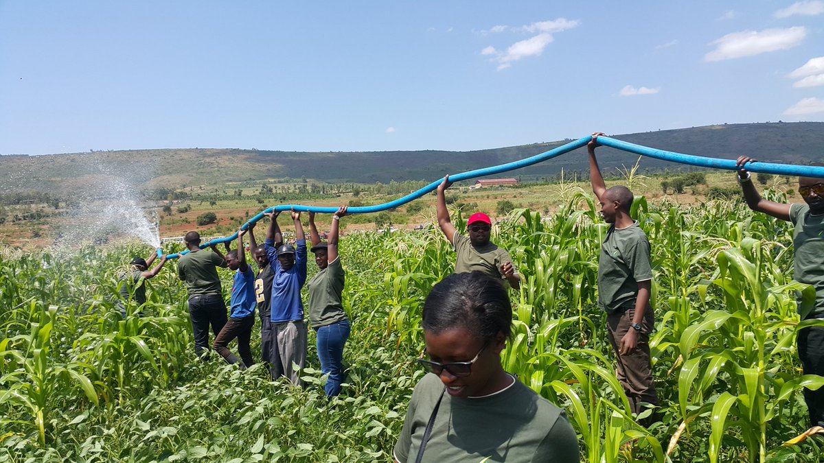 Kanyamupira's tweet photo. #PPP in action:Min @nsanganira franked by#BRD managers,Staff&amp;Rwinkwavu resdents 2boost #SmallScaleIrrigation #Rwanda https://t.co/1XT3tZDAI1