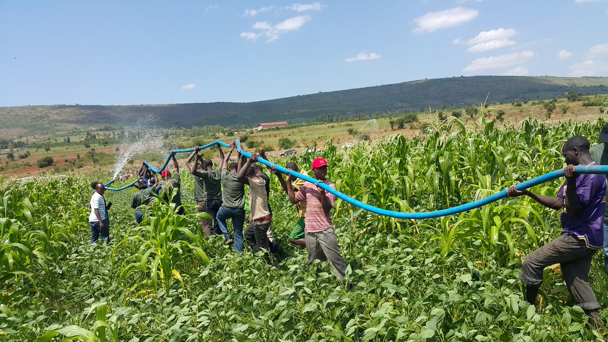 Kanyamupira's tweet photo. #PPP in action:Min @nsanganira franked by#BRD managers,Staff&amp;Rwinkwavu resdents 2boost #SmallScaleIrrigation #Rwanda https://t.co/1XT3tZDAI1